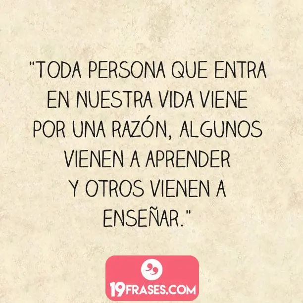 frases en ingles para instagram - Toda persona que entra en nuestra vida viene por una razón, algunos vienen a aprender y otros vienen a enseñar. 